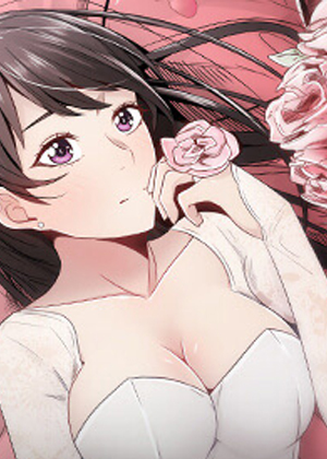 钢之炼金术师 封面